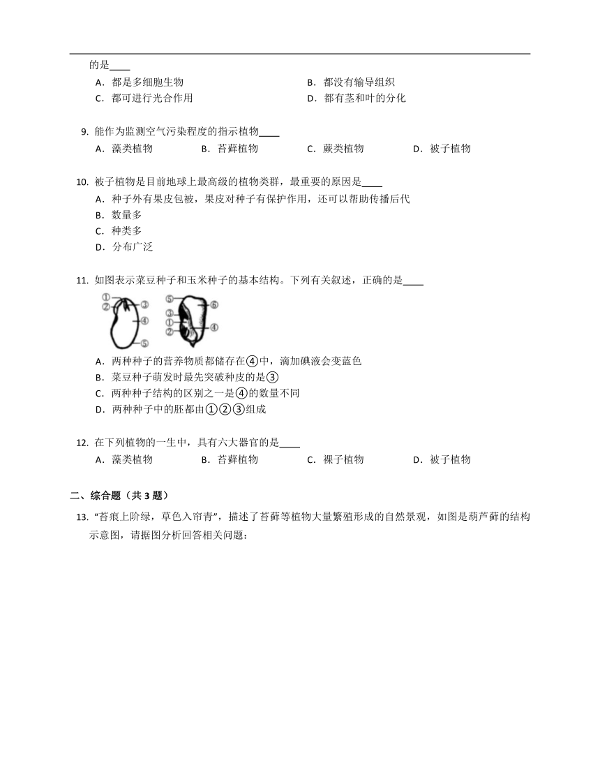 北京版八年级下13.4植物同步练习（含答案）