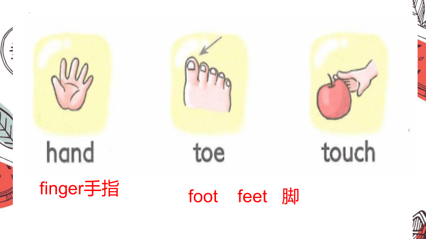 Unit14  They're  amazing!  Lesson1课件(共21张PPT)