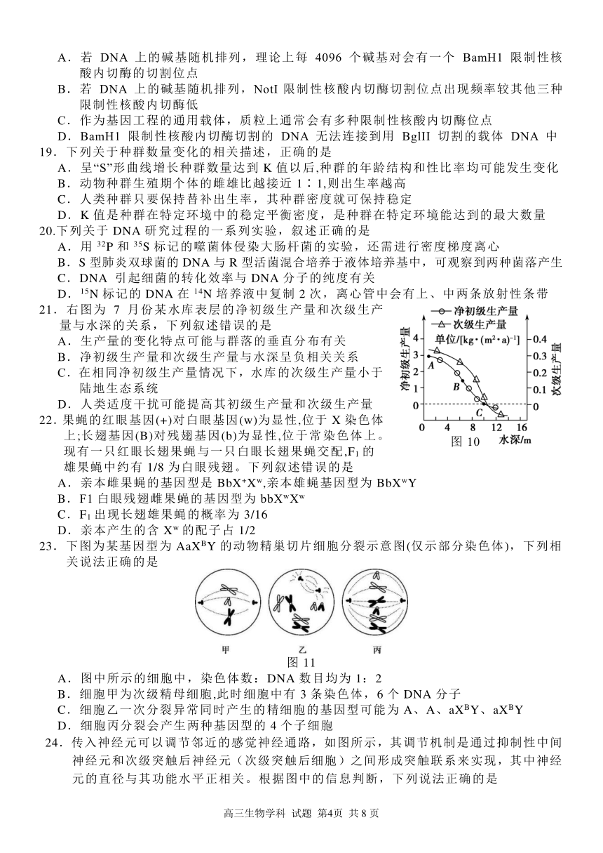 浙江省七彩阳光新高考研究联盟2022届高三上学期11月期中联考生物试题 (PDF版含答案)