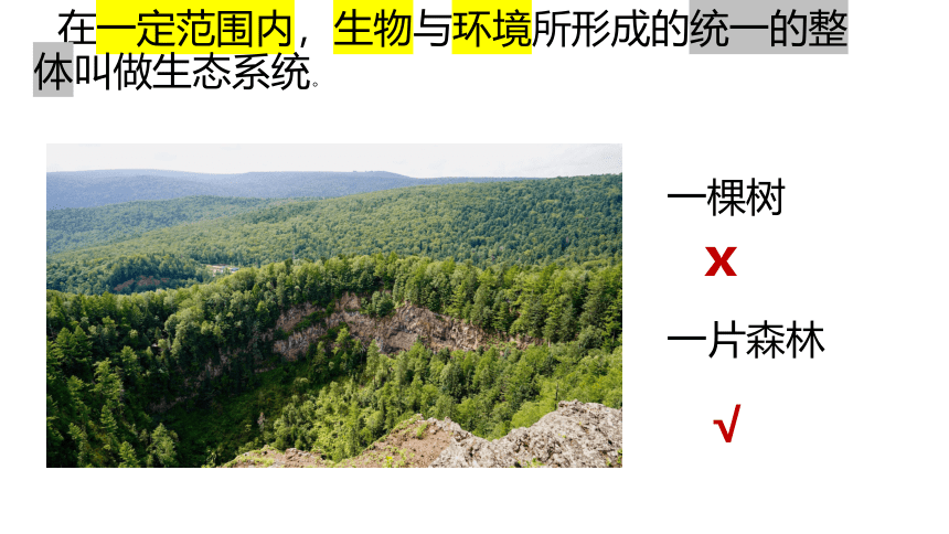 人教版生物七年级上册 1.2.2  生物与环境组成生态系统  2022-2023学年课件(共37张PPT)