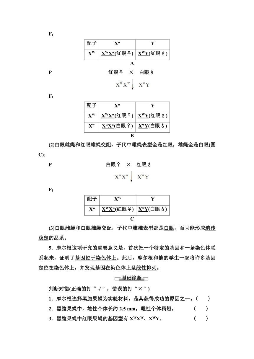 2020-2021学年苏教版（2019）高中生物： 必修2 第1章 第4节 第1课时 基因位于染色体上的实验证据 学案 （Word版含解析）