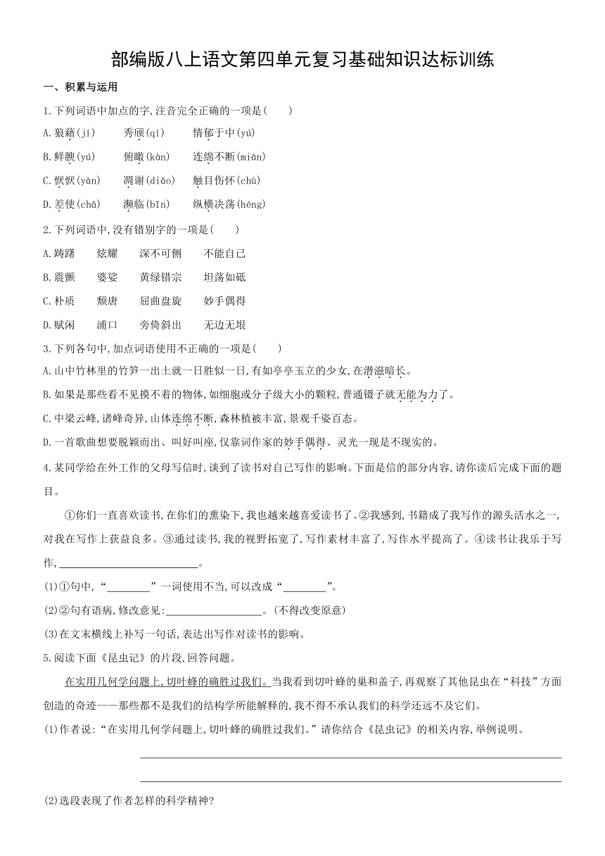 2021—2022学年部编版语文八年级上册第四单元复习基础知识达标训练  （含答案）