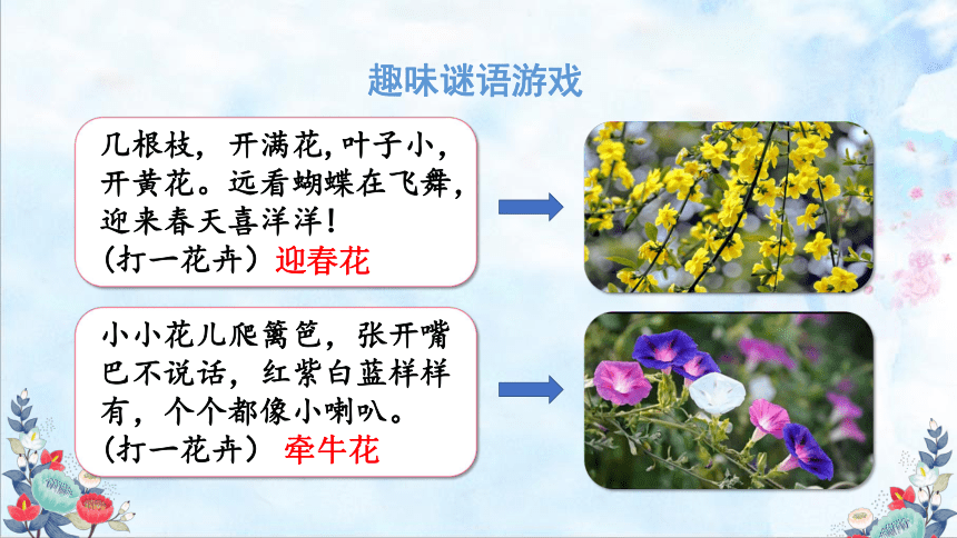 4花之歌   课件（22张PPT)