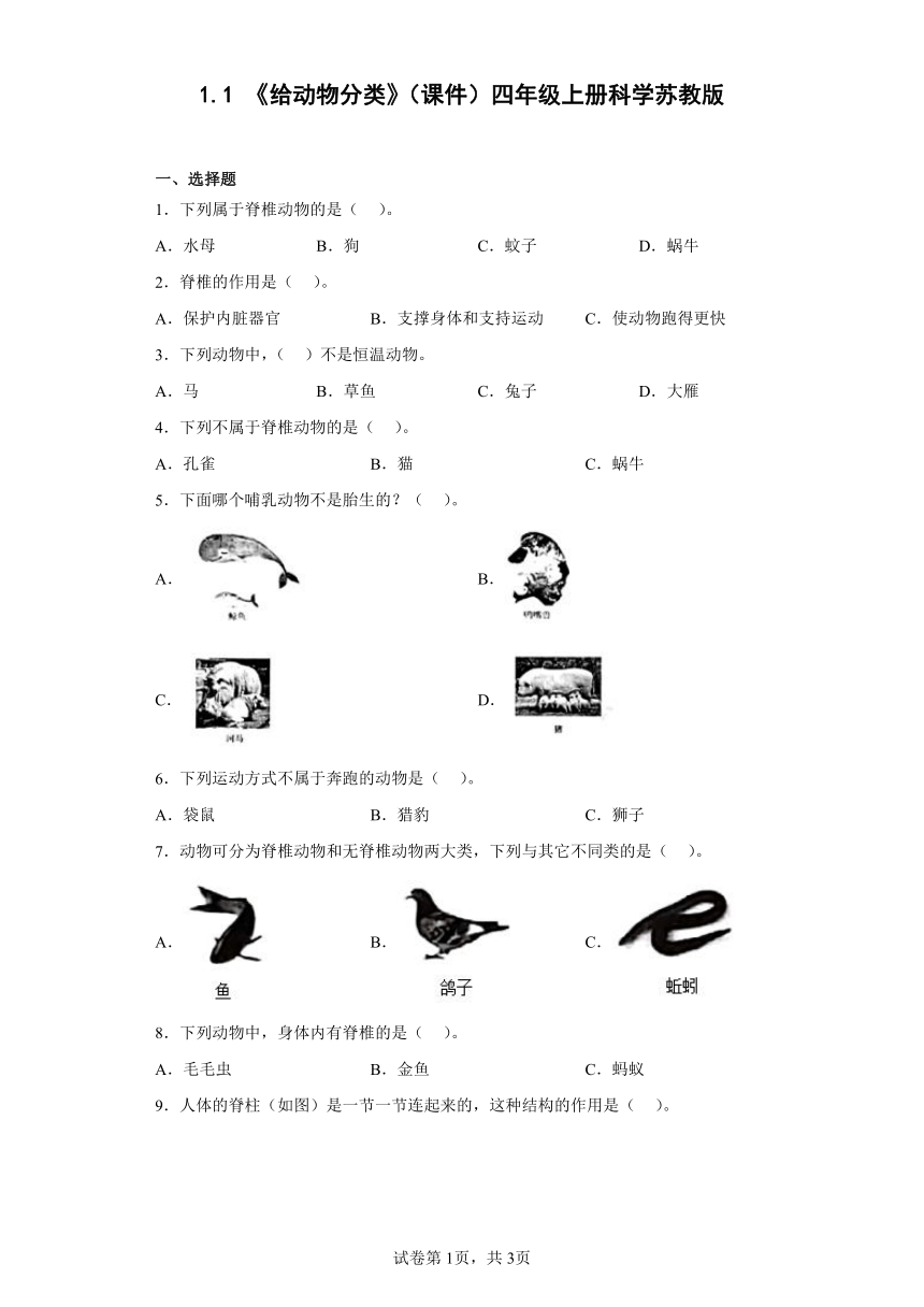苏教版（2017秋） 四年级上册1.1给动物分类（课时练习）（含答案）