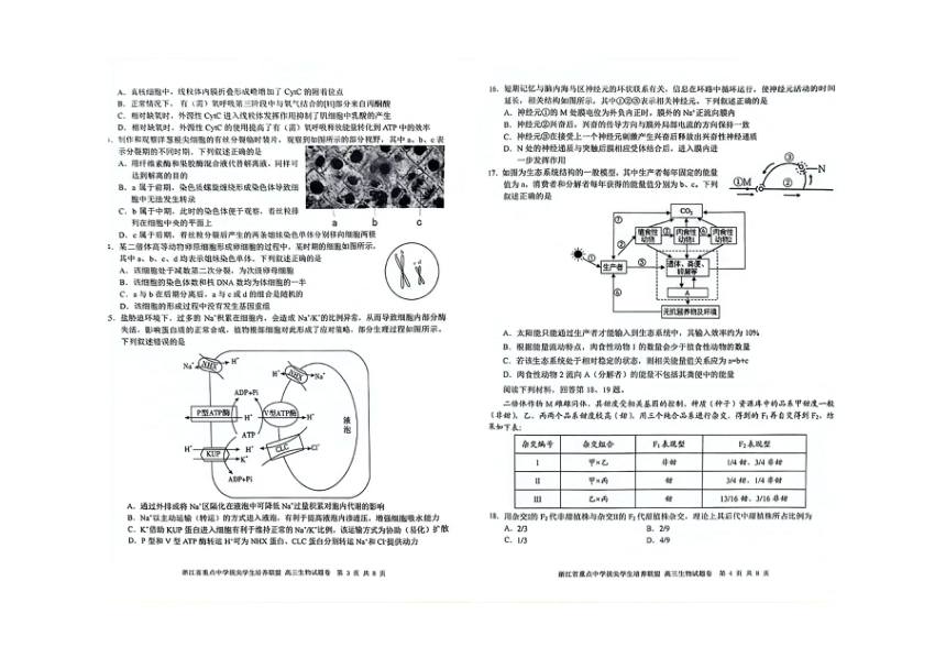 2023届浙江省高三6月普通高校招生适应性考试模拟预测生物试题（Word版无答案）