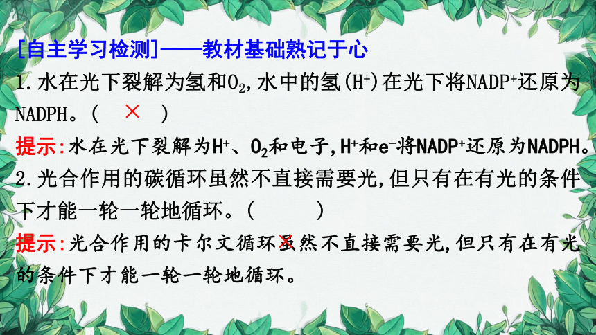 浙科版（2019）生物必修一 第三章第五节课时2 光反应与碳反应的基本过程课件(共36张PPT)