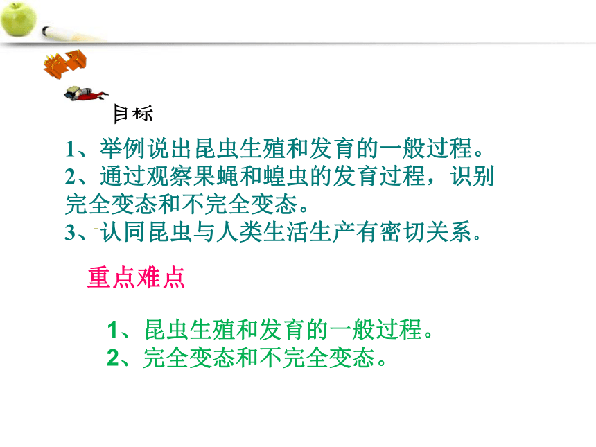 2021-2022学年济南版生物八年级上册第四单元第二章第一节昆虫的生殖和发育  课件(共23张PPT)