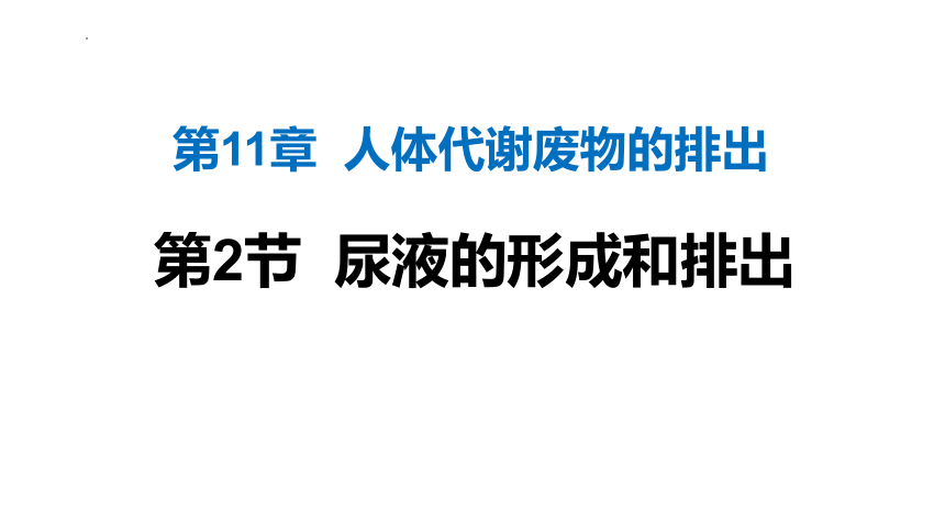 11.2尿的形成与排出课件(共40张PPT)2022-2023学年北师大版生物七年级下册