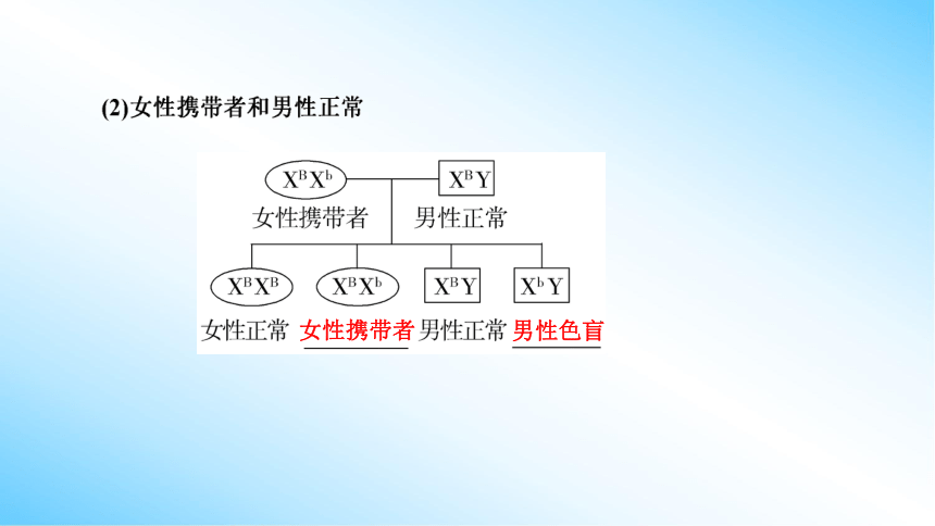 【课件版学案】2-3 伴性遗传 人教版2019必修2(共77张PPT)