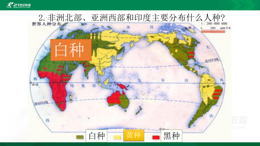 5.2第二节 世界的人种、语言和宗教（共36页PPT）