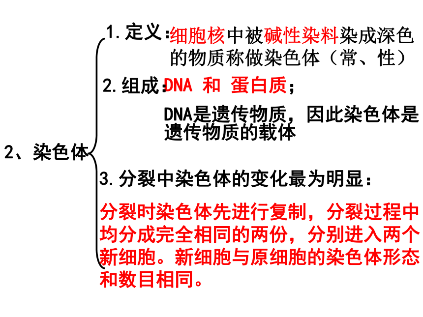 2021-2022学年人教版七年级生物上册第二单元第二章细胞怎样构成生物体复习课件(共46张PPT)