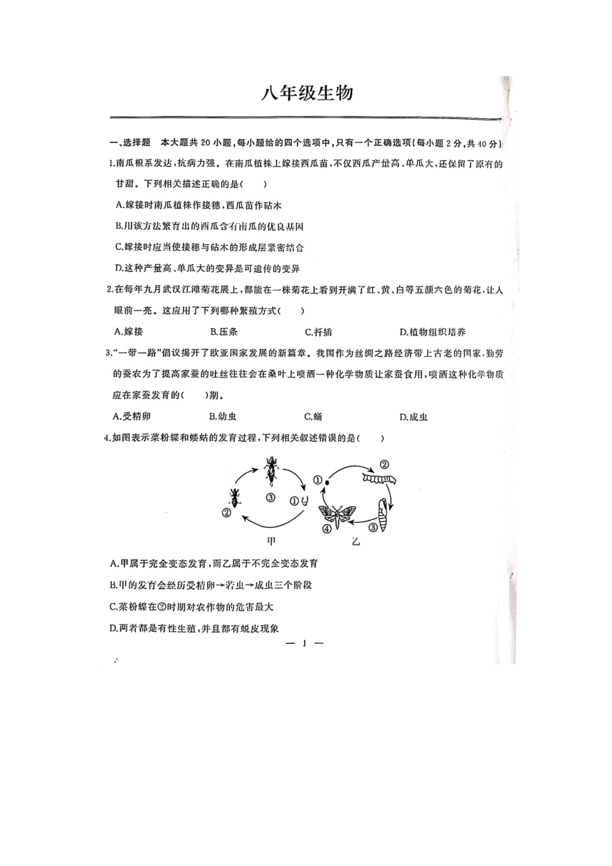 湖北省武汉市江岸区2022-2023学年八年级下学期期中考试生物试题（图片版含答案）