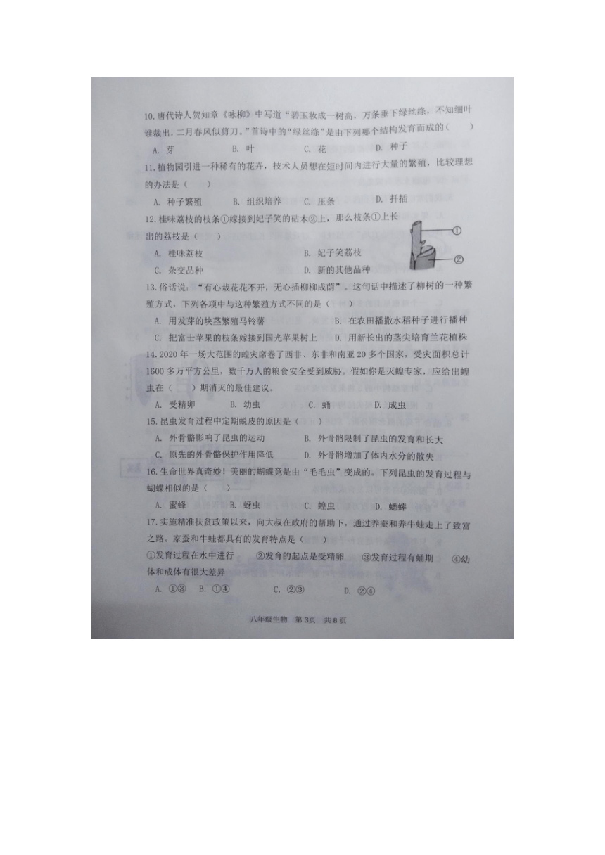 山东省滨州市阳信县2021-2022学年上学期八年级期中测试生物试题(图片版 含答案)