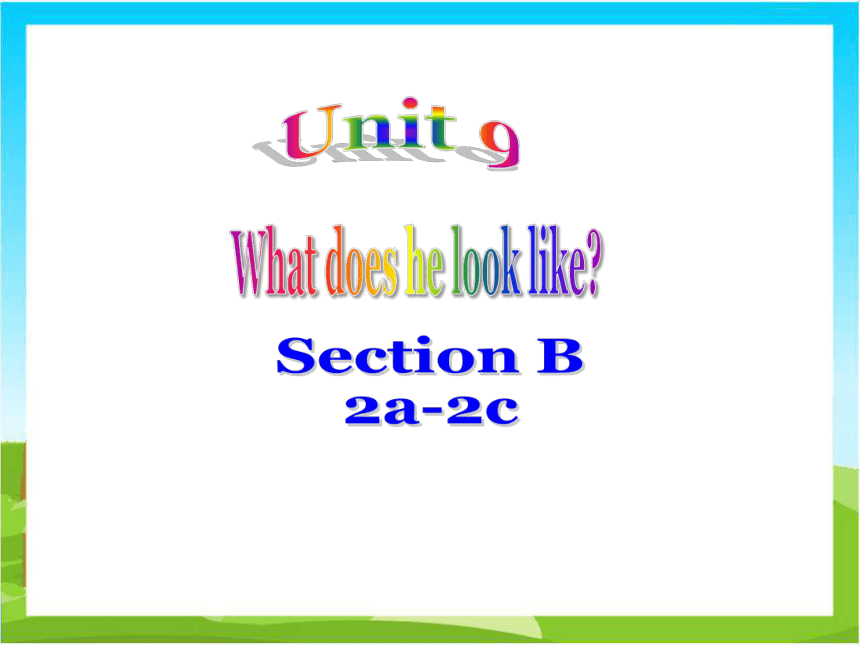 Unit 9 What does he look like? SectionB 2a-2c 课件(共22张PPT)