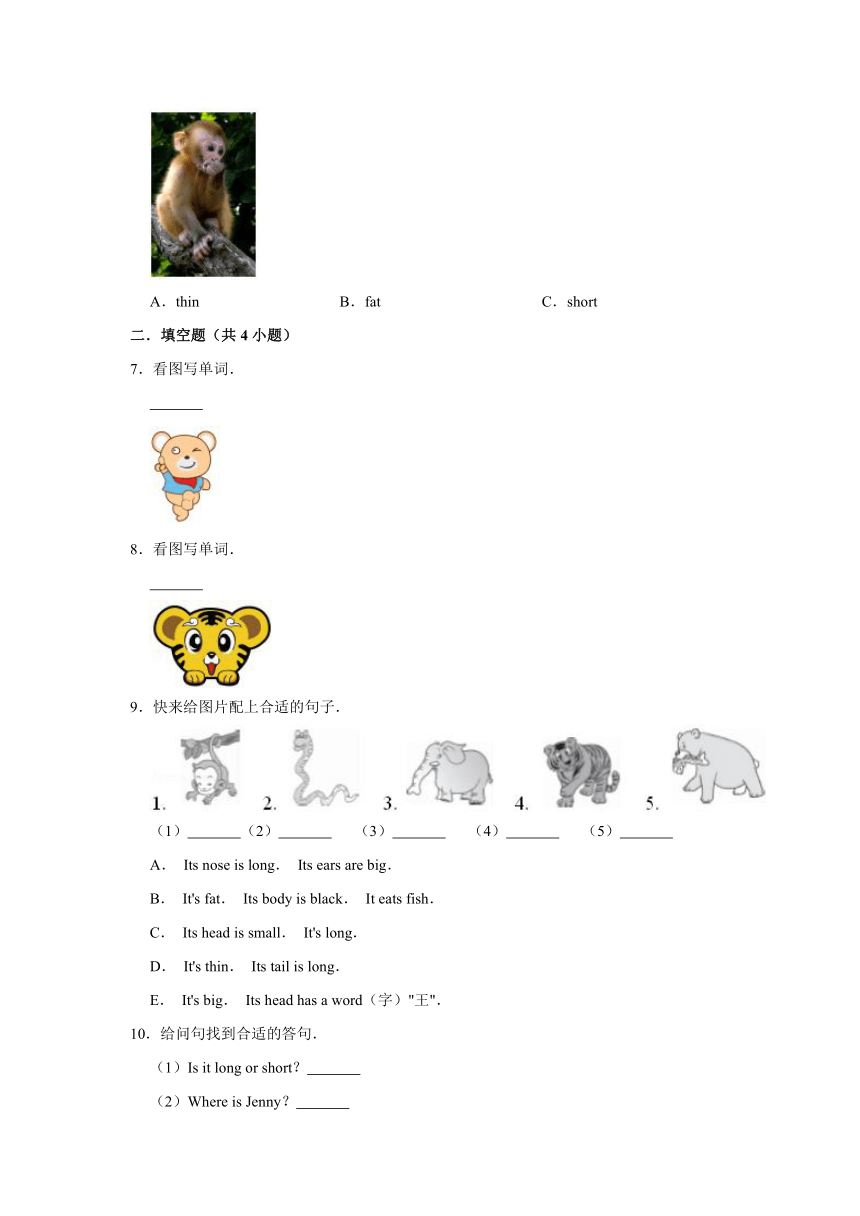 Unit 2 Lesson 8 Tigers and Bears 习题练习（含答案）
