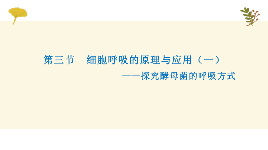 2022-2023学年高一上学期生物人教版（2019）必修1-5.3.1细胞呼吸的原理与应用课件（26张ppt）