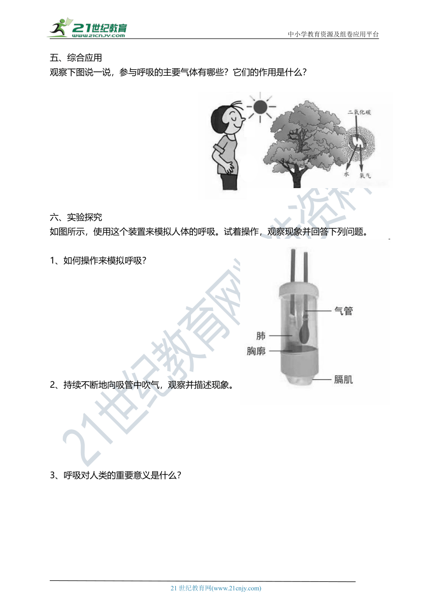 2.1感受我们的呼吸 课时练习（含答案解析）