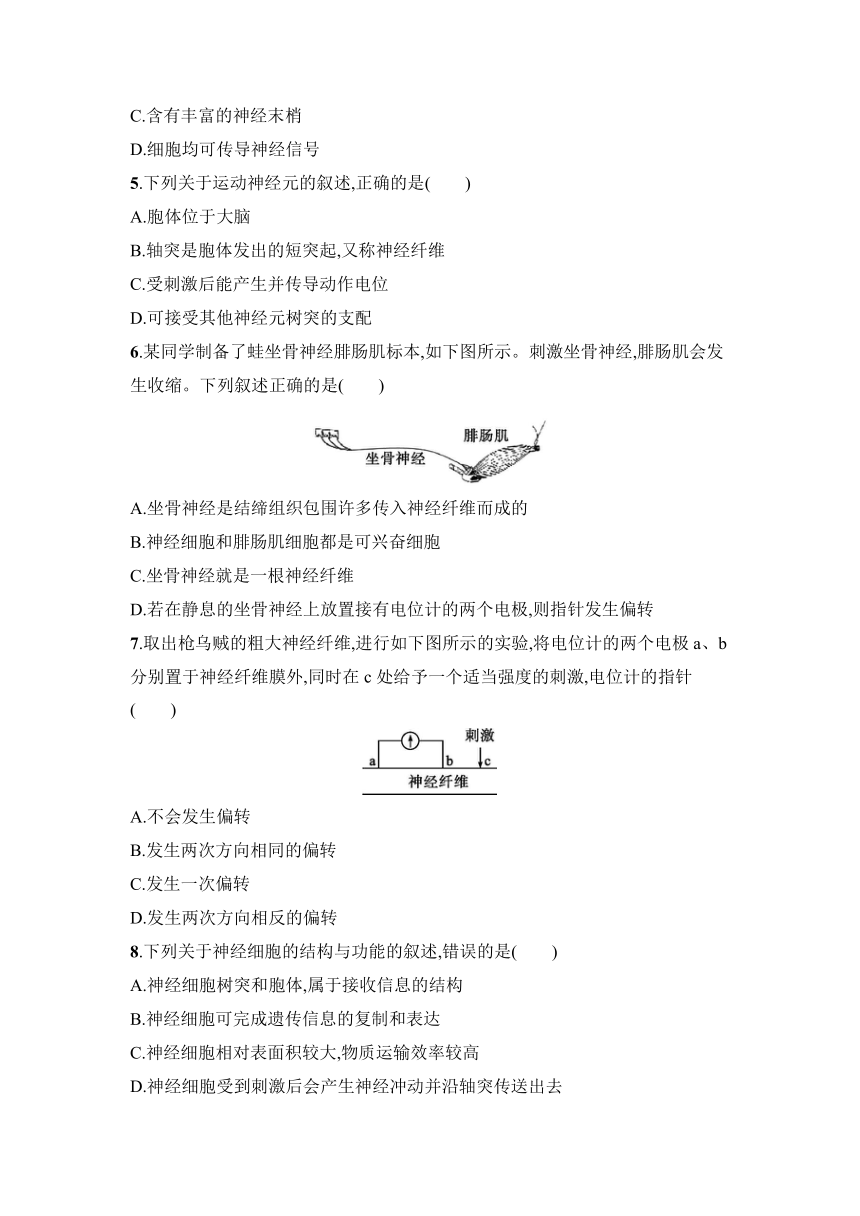 2.1 神经系统是神经调节的结构基础 同步练习（含答案）