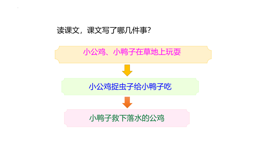 4小公鸡和小鸭子 课件(共20张PPT)