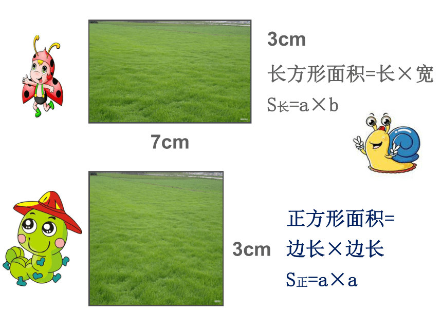 三年级上册数学课件-6.2 长方形和正方形的周长 冀教版 (共30张PPT)