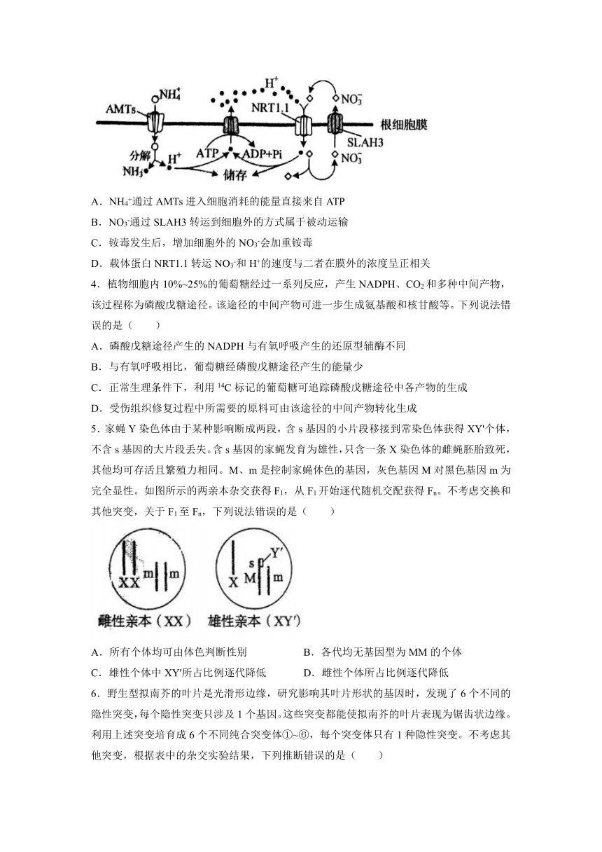 2022年新高考山东卷高考生物真题试卷（Word版，含答案）