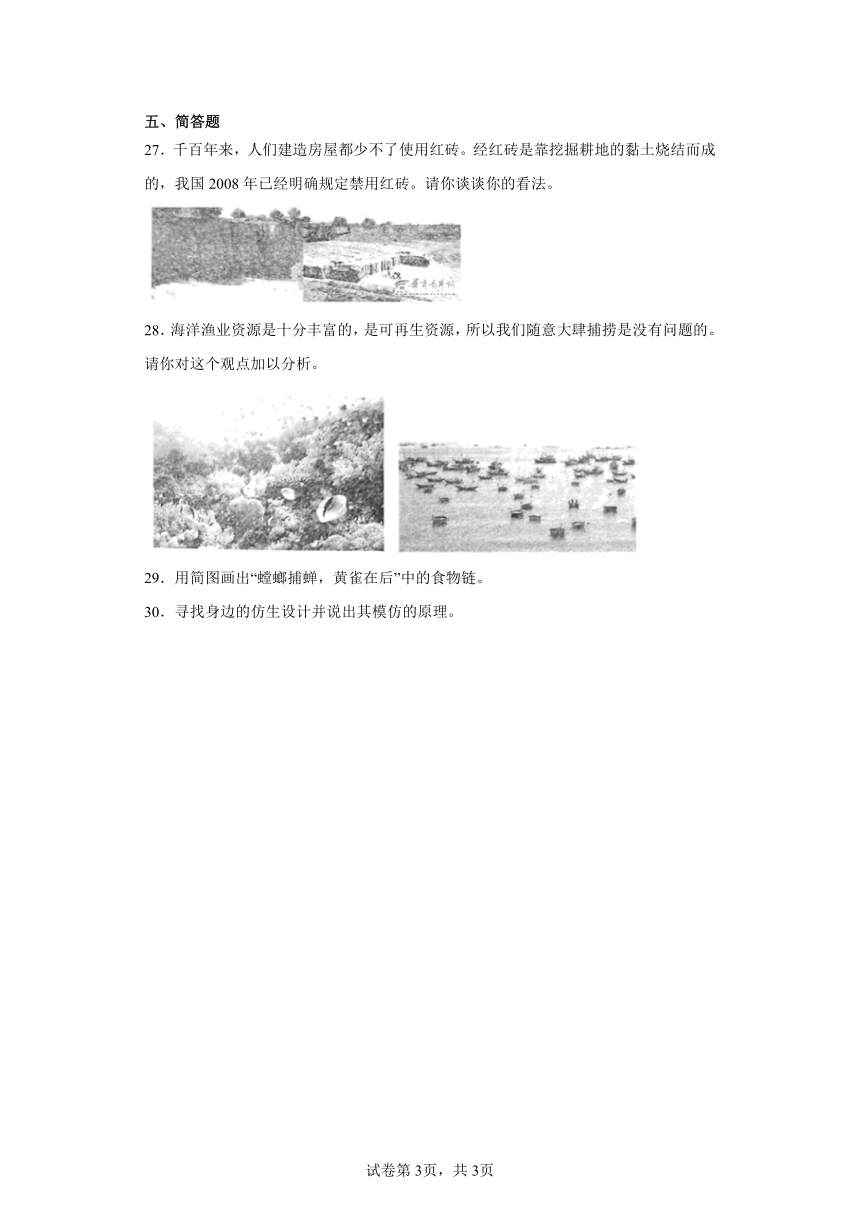 粤教版六年级下册科学期末训练题（含答案）