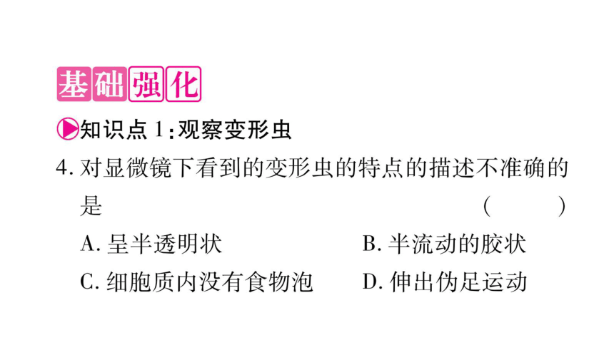 3.2 细胞是生命活动的单位-作业课件-2020年秋北师大版七年级上册生物(共30张PPT)