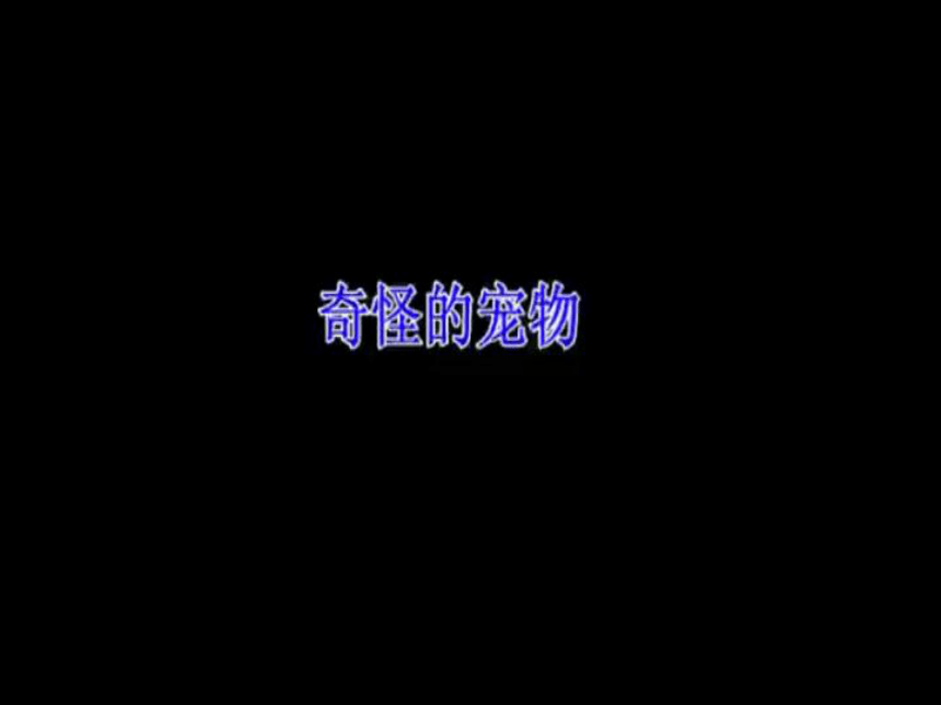 The Odd Pet逐句朗读绘本(共16张PPT)