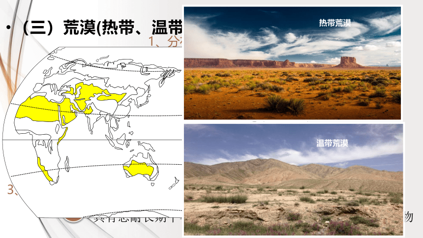 2.7植被与自然环境的关系 教学课件（49张）