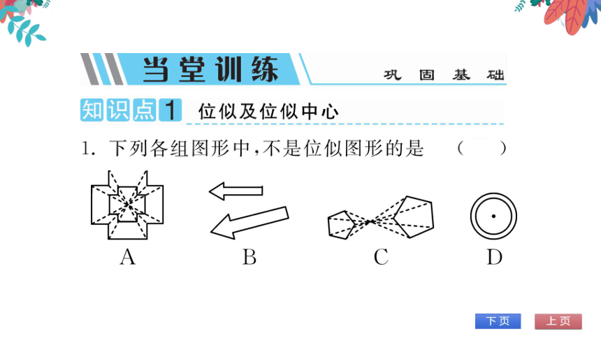 【华师大版】数学九年级上册 23.5位似图形 习题课件