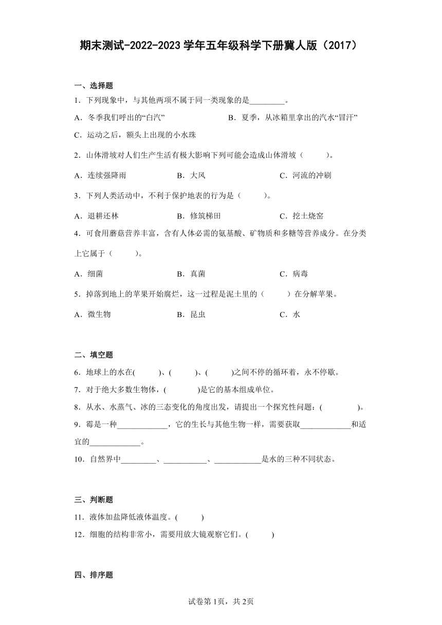 2022-2023学年五年级科学下册冀人版（2017）期末测试（含答案）