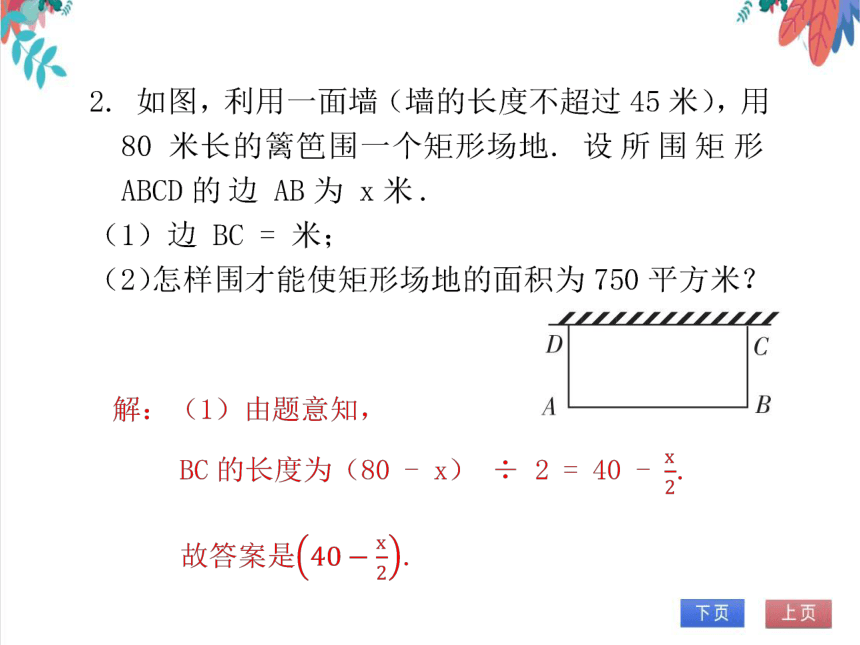 【北师大版】数学九(上) 2.3.3 利用一元二次方程解决面积问题 同步练习本（课件版）