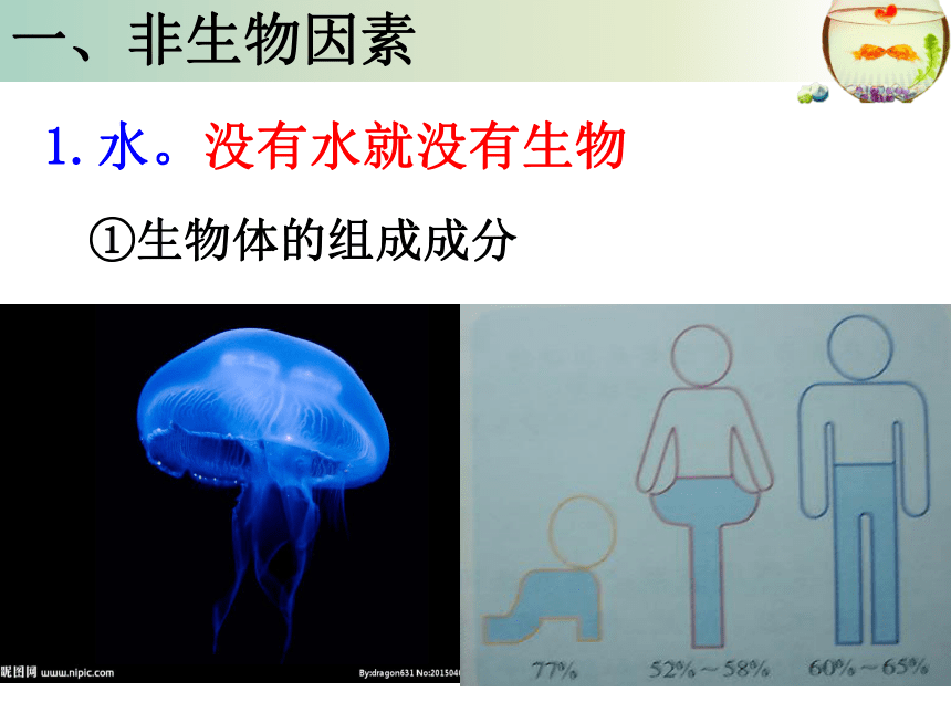 北师大版生物八年级下册8.23.1 生物的生存依赖一定环境 课件（21张PPT）