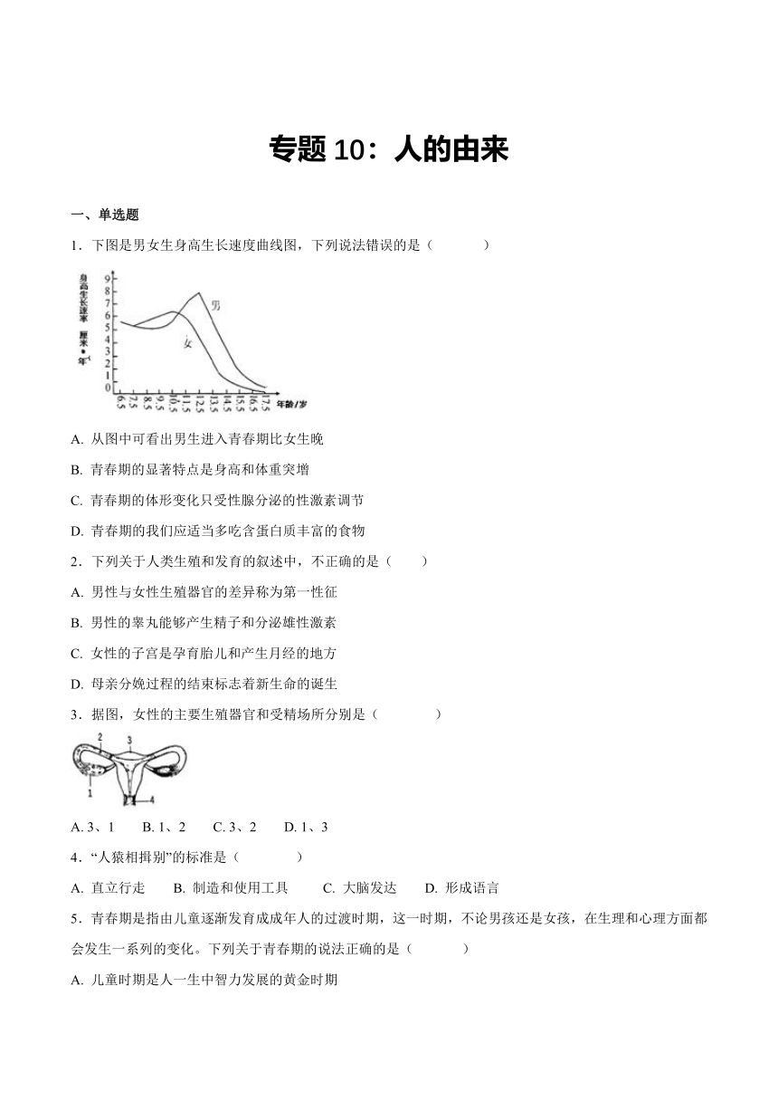 【会考专训】中考生物会考复习专项训练13：人的由来（含解析）