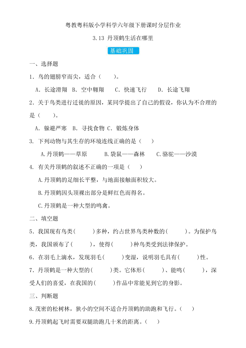 2023-2024学年科学六年级下册（粤教粤科版）第13课丹顶鹤生活在哪里 同步分层作业（含答案）