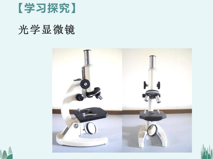 2021——2022学年人教版七年级生物上册2.1.1练习使用显微镜 课件（28张PPT）