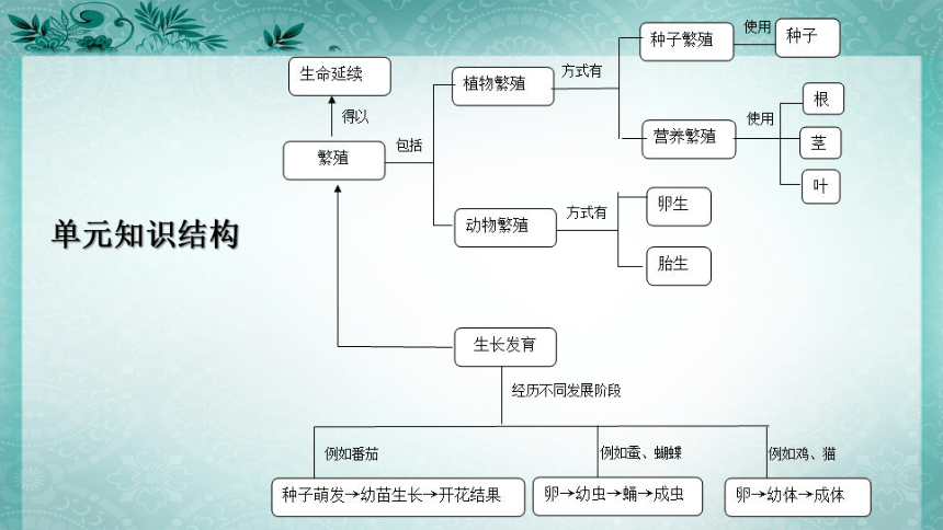 2020秋粤教粤科版科学四年级上册 第一单元《生命的延续》教材分析 课件（50张PPT）