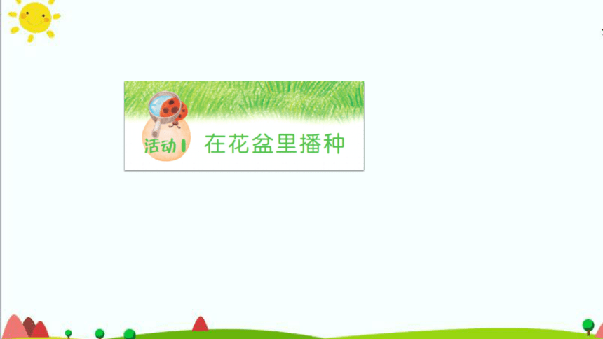 1.1《种番茄》课件（共26张PPT）