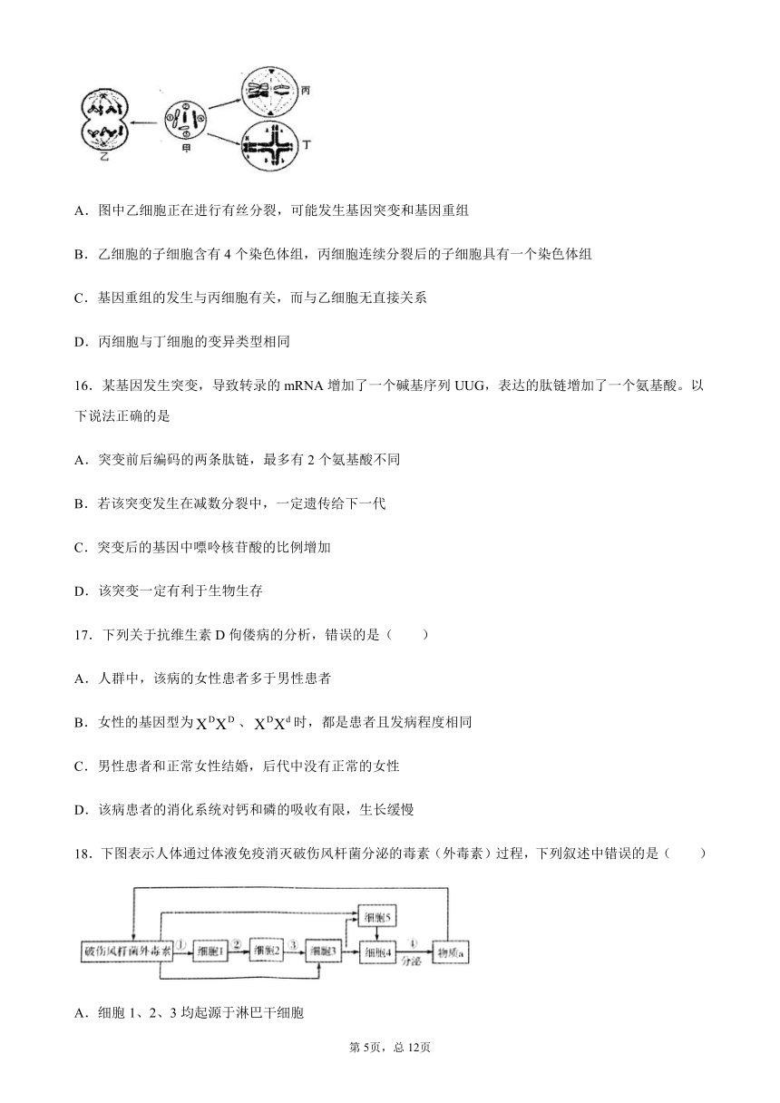 河南省驻马店市新蔡县2020-2021学年高一下学期6月月考生物试题        含答案