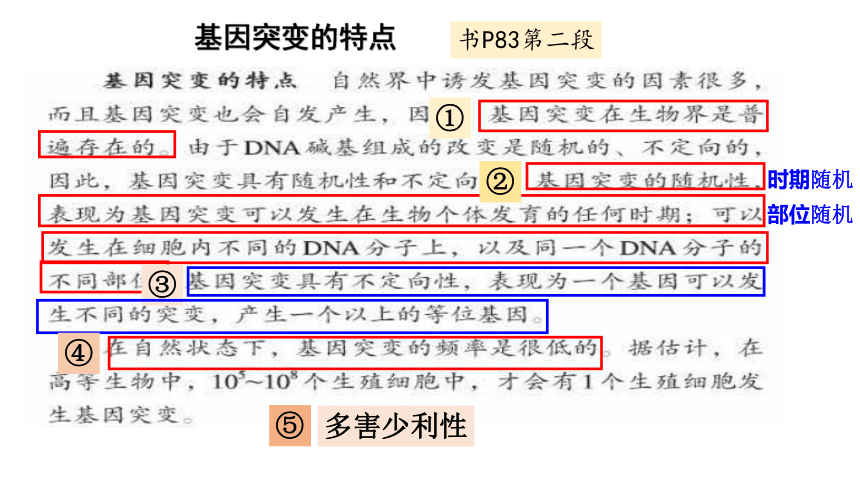 【新教材】2020-2021学年高一生物人教版（2019）必修二5.1基因突变和基因重组  课件（30张PPT)