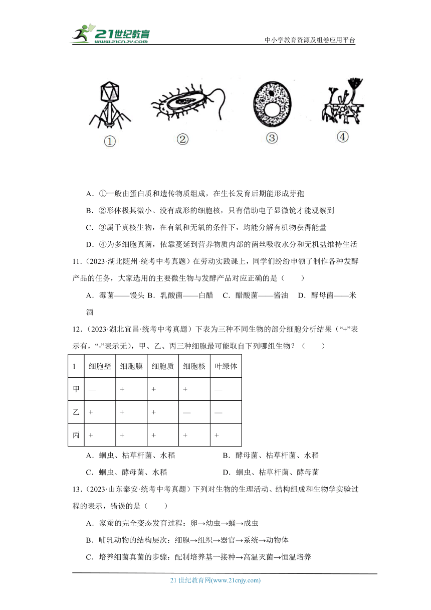 全国中考生物2023年真题分类汇编-44分布广泛的微生物选择题②