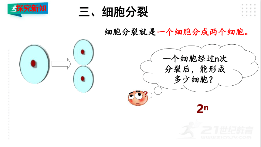 2.2.1 细胞通过分裂产生新细胞课件（共20张PPT）