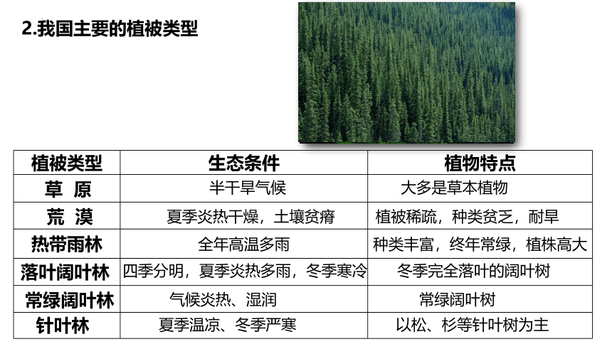 2022-2023学年人教版七年级生物上册 3.6 爱护植被，绿化祖国 课件 (共29张PPT)