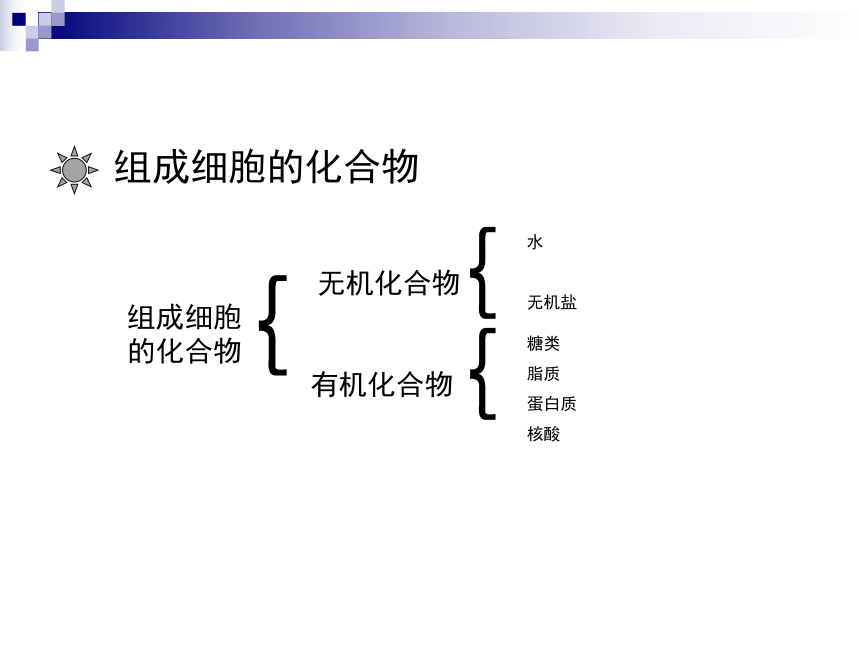 高中生物人教版（2019）必修一2.1 细胞中的元素和化合物 课件 (共25张PPT)