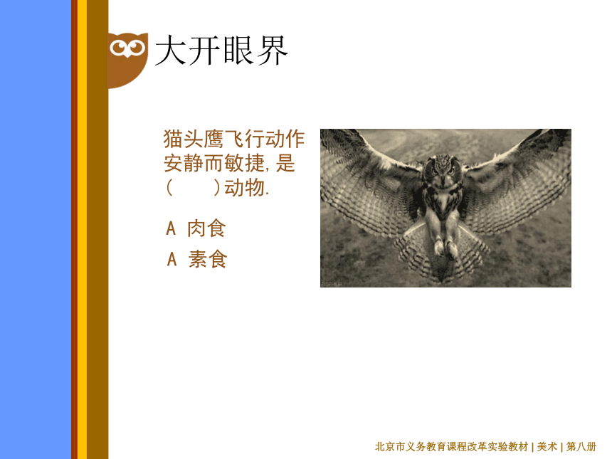 人美版（北京）  四年级下册美术课件 第5课中国画 学画猫头鹰 (共23张PPT)