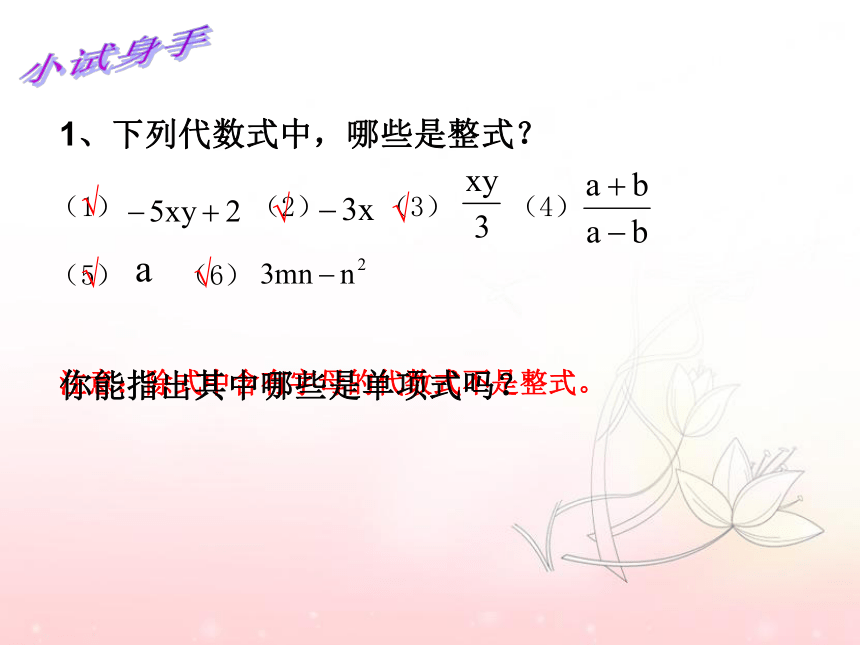 青岛版七年级上册数学 6.1单项式与多项式课件（18张）