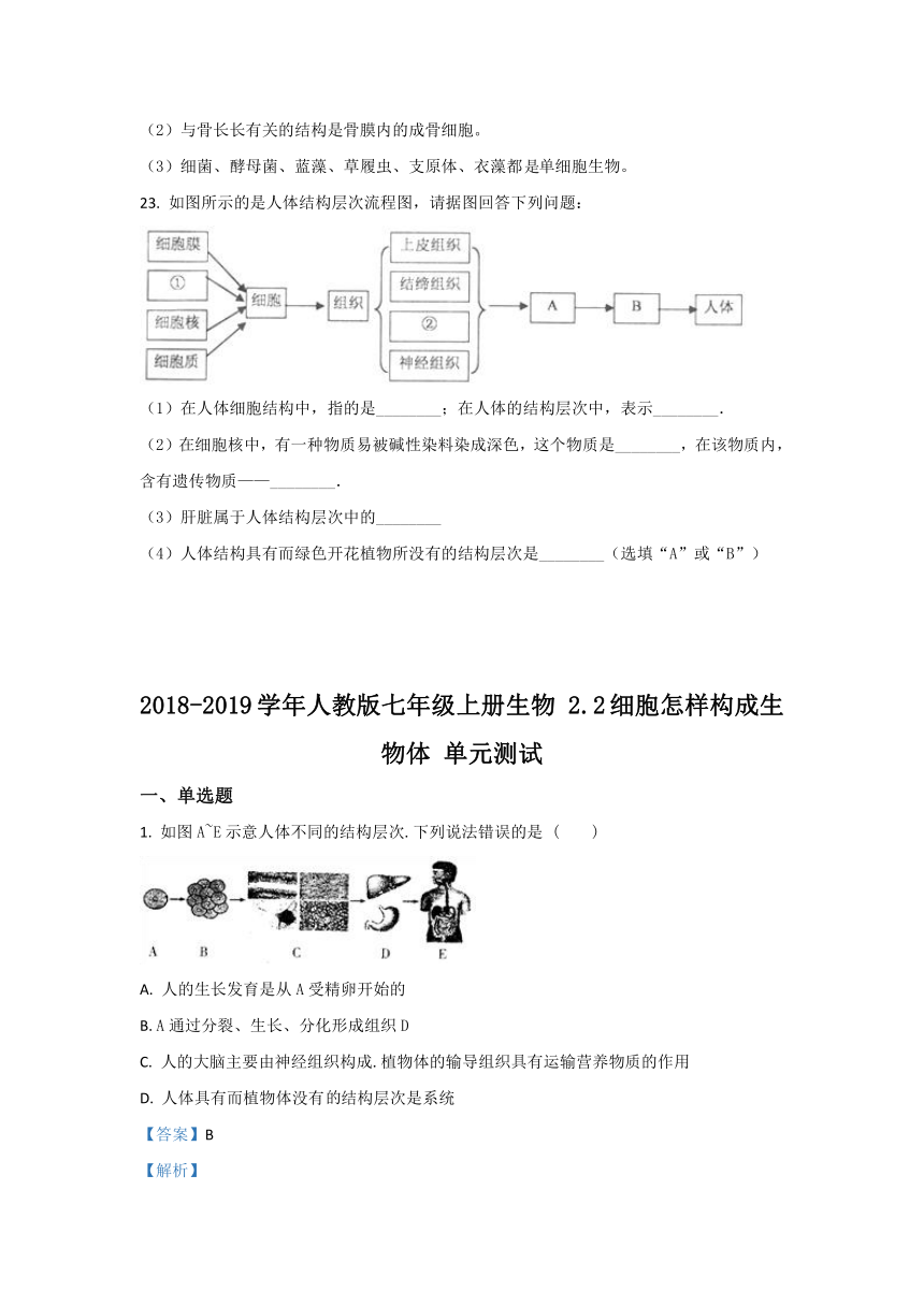 人教版七上生物第2单元第2章细胞怎样构成生物体单元试卷（含解析）