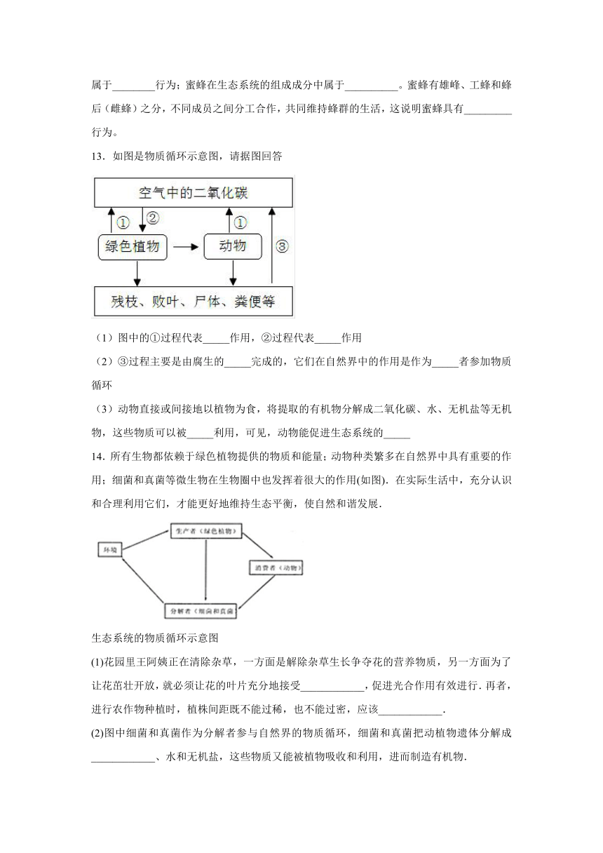 【会考专训】中考生物会考复习专项训练8：动物在生物圈中的作用（含解析）