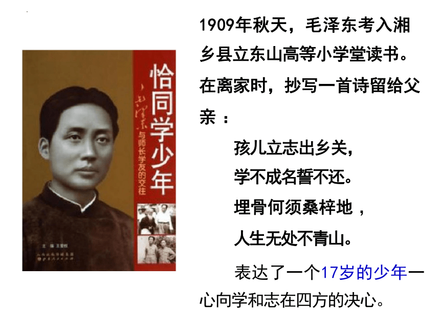 3.1 青春飞扬 课件(共28张PPT)-2023-2024学年统编版道德与法治七年级下册