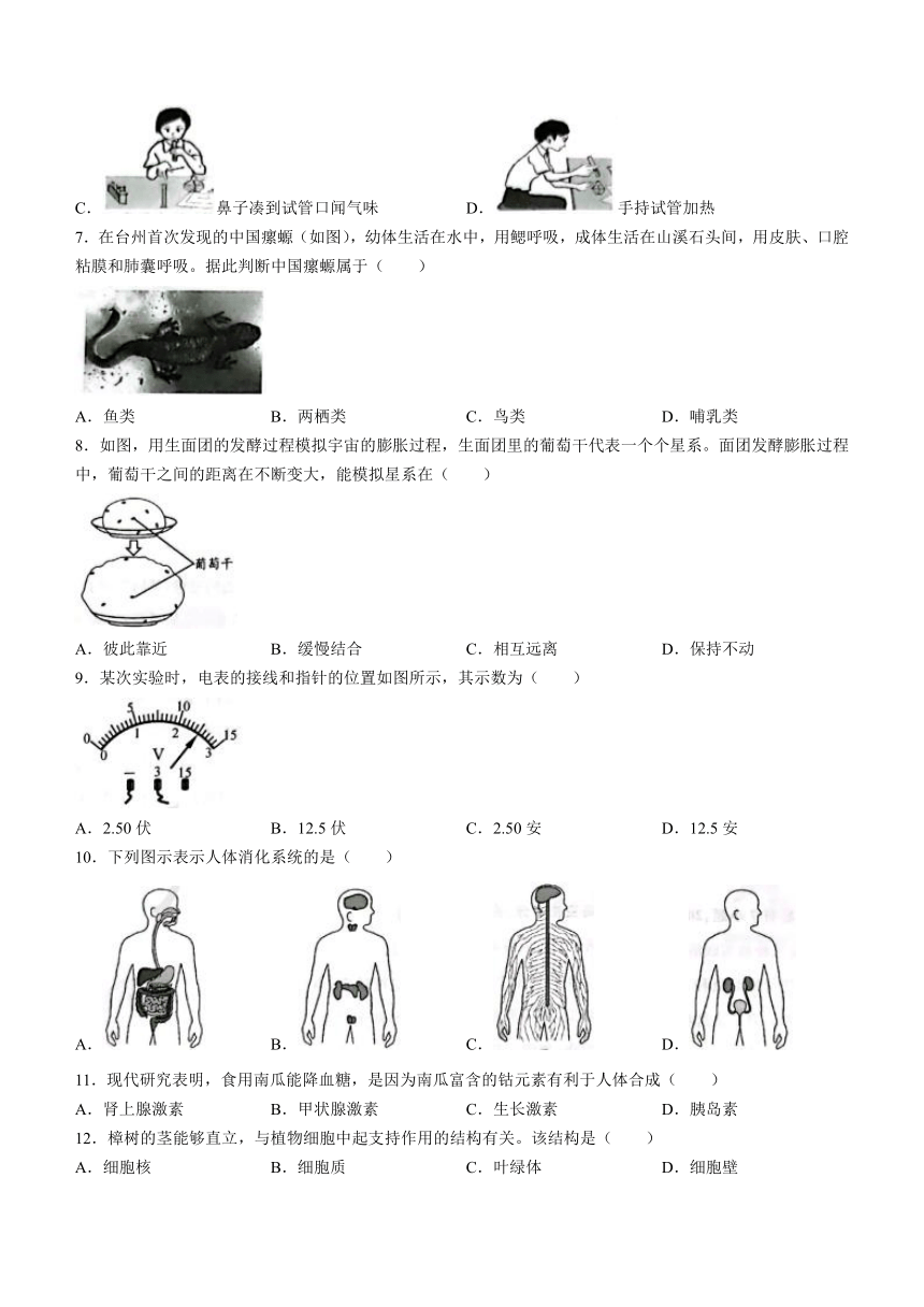 2022年浙江省初中毕业生学业考试（台州卷）科学试题卷（word版 含答案）